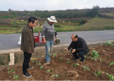 南郑区最新招聘动态解读